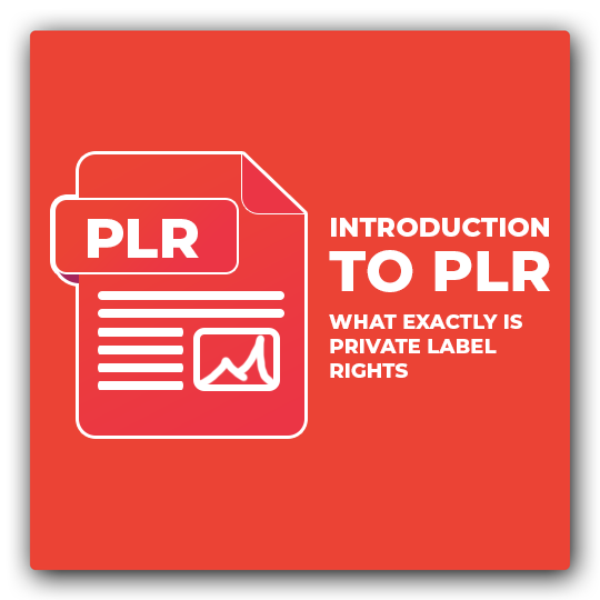 Introduction To PLR 1 - What Exactly is Private Label Rights - Featured Image