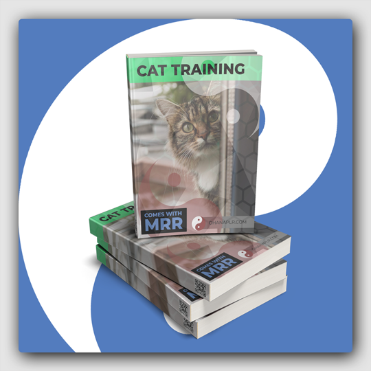 Cat Training MRR Ebook - Featured Image