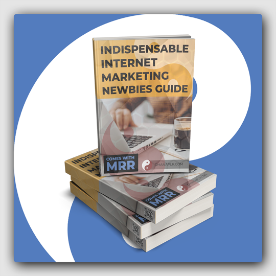 Indispensable Internet Marketing Newbies Guide MRR Ebook - Featured Image