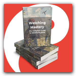 Bird Watching Mastery PLR Ebook - Featured Image
