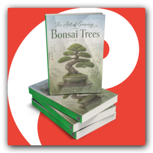 The Art of Growing Bonsai Trees PLR Ebook - Featured Image