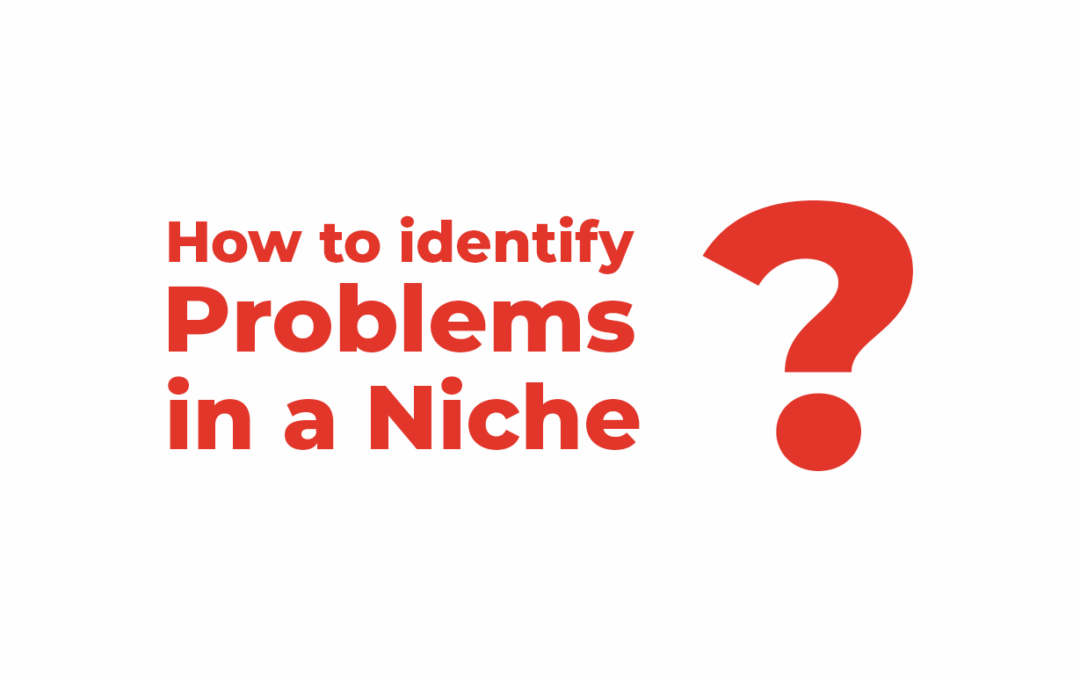How to Identify Problems in a Niche