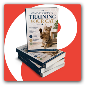The Complete Guide to Training Your Cat PLR Ebook - Featured Image